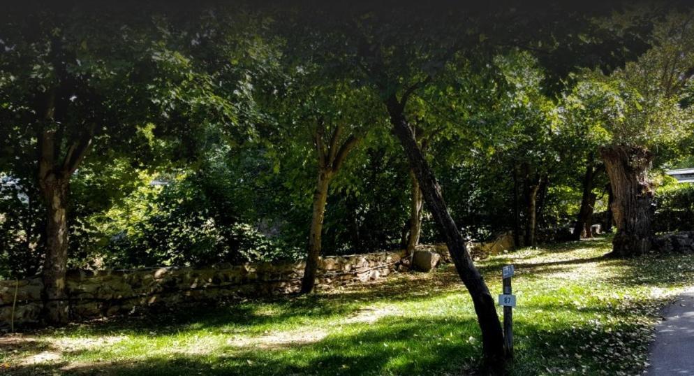 Camping L'Enclave Mobil-Home Estavar Esterno foto